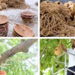 Bhubaneswar bird conservation project with artificial bird nests and water pots on trees made from recycled coconut coir