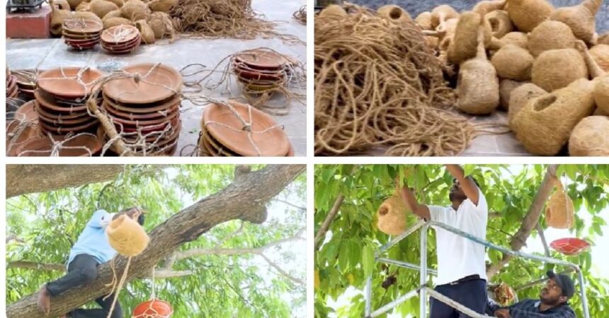 Bhubaneswar bird conservation project with artificial bird nests and water pots on trees made from recycled coconut coir